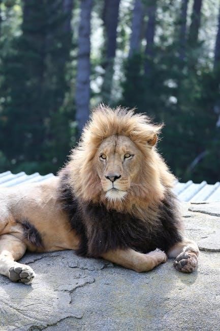 the lion the witch the wardrobe pdf